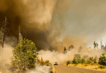 Extreme Weather Events: Why Climate Risks Are Being Closely Watched